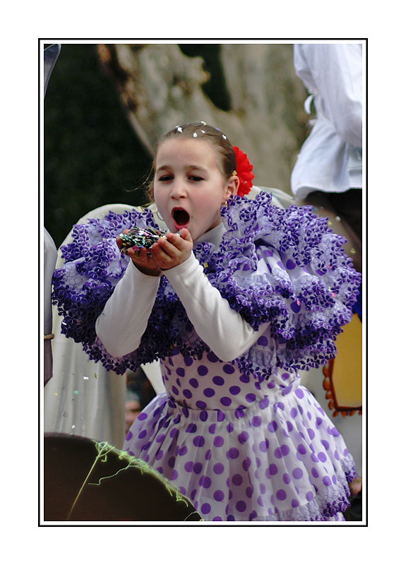 http://www.zsolution.net/gallery/galleries/Carnaval/105_0579.jpg