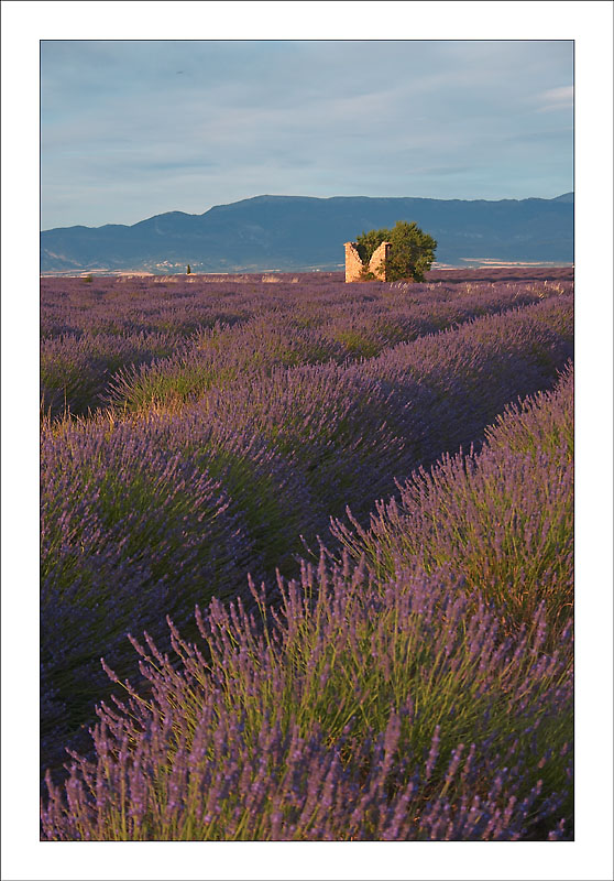 http://www.zsolution.net/gallery/galleries/Paysage/136_3697.jpg