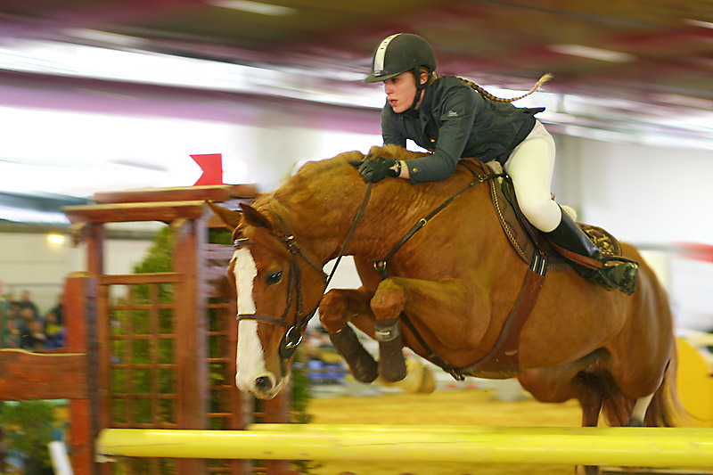 http://www.zsolution.net/gallery/galleries/Sports/Equitation/155_5509.jpg